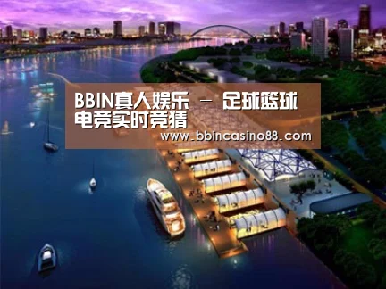 案例展示八
