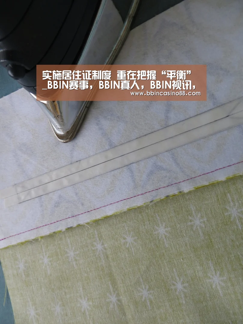 实施居住证制度 重在把握“平衡”_BBIN赛事,BBIN真人,BBIN视讯,BBIN直播(图4) BBIN赛事,BBIN真人,BBIN视讯,BBIN直播