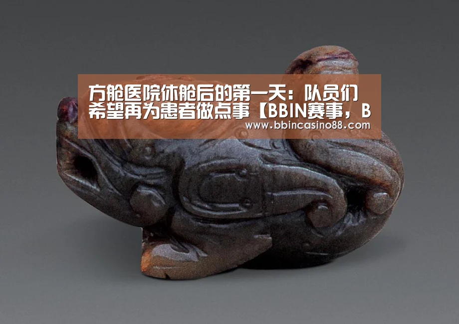 方舱医院休舱后的第一天:队员们希望再为患者做点事【BBIN赛事,BBIN真人,BBIN视讯,BBIN直播】(图1) BBIN赛事,BBIN真人,BBIN视讯,BBIN直播
