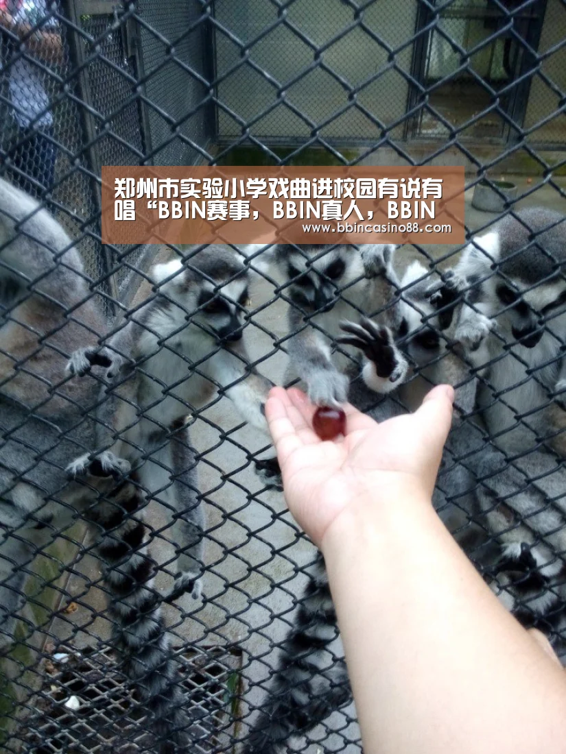 BBIN赛事，BBIN真人，BBIN视讯，BBIN直播