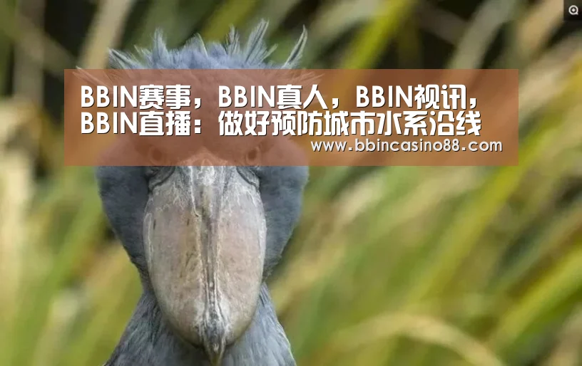BBIN赛事,BBIN真人,BBIN视讯,BBIN直播:做好预防城市水系沿线中小学生溺水工作(图1) BBIN赛事,BBIN真人,BBIN视讯,BBIN直播