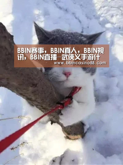 BBIN赛事,BBIN真人,BBIN视讯,BBIN直播-武侠义手游什么时候出 武侠乂手机版公测时间(图3) BBIN赛事,BBIN真人,BBIN视讯,BBIN直播