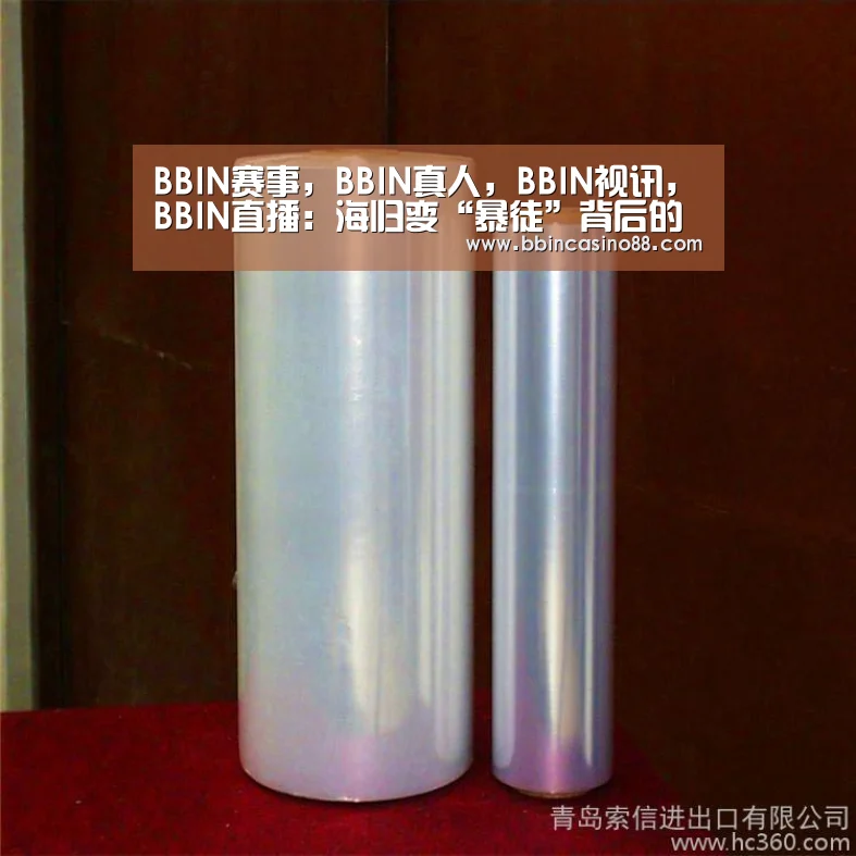 BBIN赛事,BBIN真人,BBIN视讯,BBIN直播:海归变“暴徒”背后的留学悲剧(图2) BBIN赛事,BBIN真人,BBIN视讯,BBIN直播